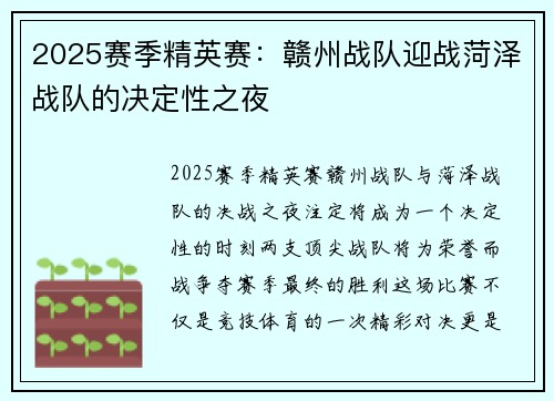 2025赛季精英赛：赣州战队迎战菏泽战队的决定性之夜